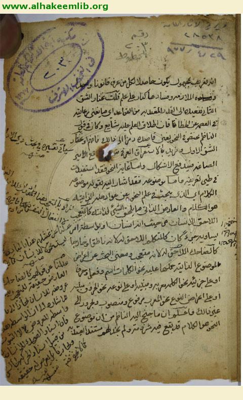 شرح منظومة في النحو