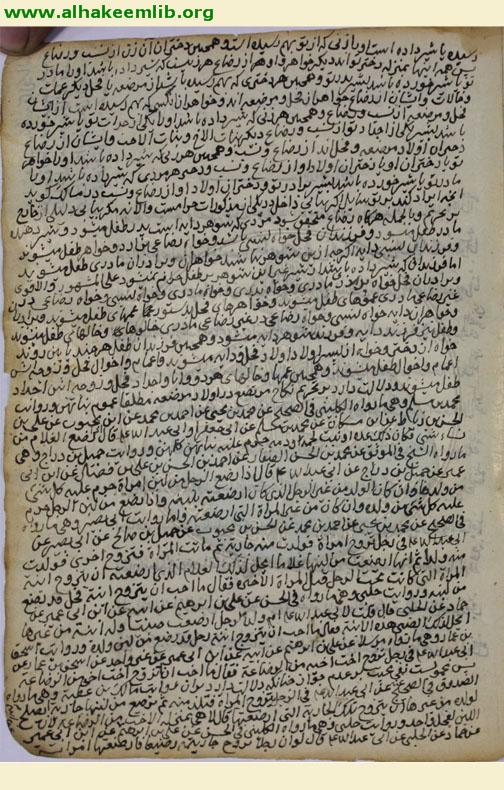 الرسالة الرضاعية