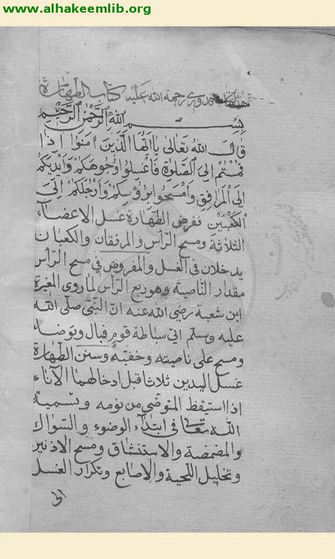 المختصر في الفروع