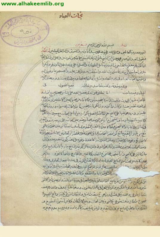 نجاة العباد